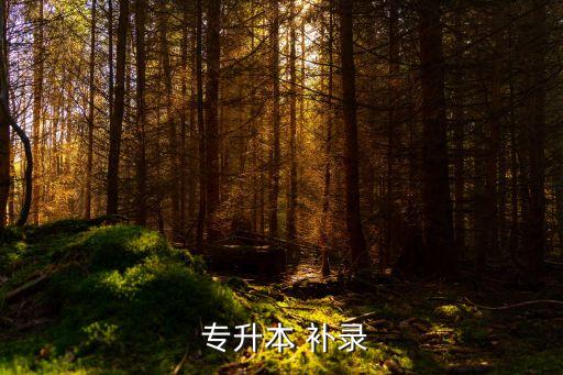  專升本 補錄