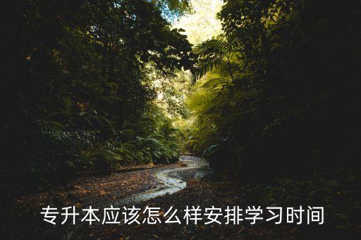  專升本應(yīng)該怎么樣安排學(xué)習(xí)時間