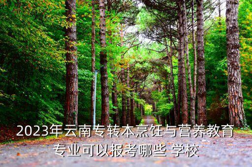 2023年云南專轉(zhuǎn)本烹飪與營養(yǎng)教育專業(yè)可以報考哪些 學(xué)校