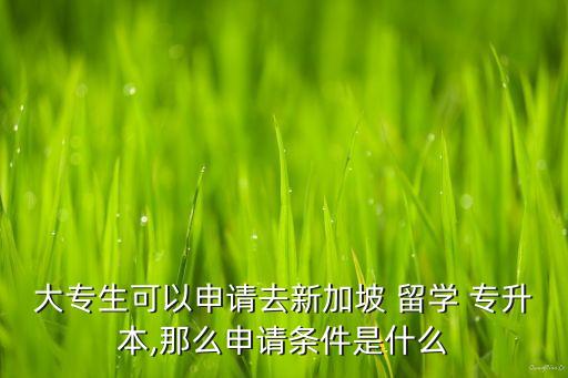 1十0專升本留學,專升本留學去哪個國家好