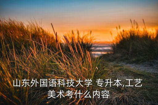 山東外國語科技大學(xué) 專升本,工藝 美術(shù)考什么內(nèi)容