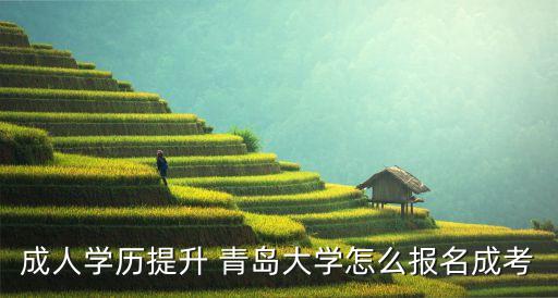 成人學(xué)歷提升 青島大學(xué)怎么報(bào)名成考