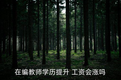 在編教師學歷提升 工資會漲嗎