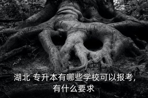  湖北 專升本有哪些學(xué)?？梢詧?bào)考,有什么要求