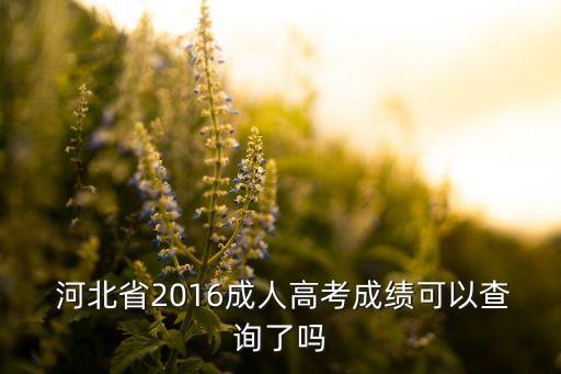  河北省2016成人高考成績(jī)可以查詢了嗎