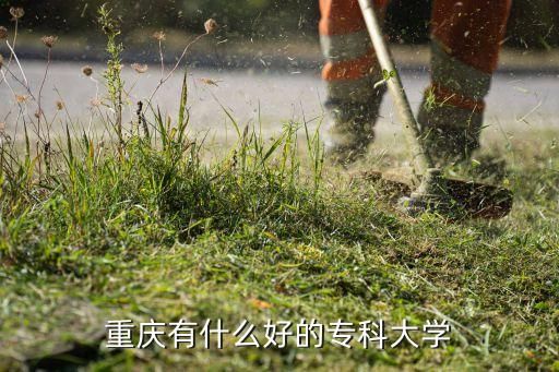重慶有什么好的?？拼髮W(xué)