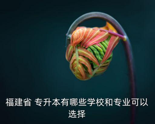 福建省 專(zhuān)升本有哪些學(xué)校和專(zhuān)業(yè)可以選擇