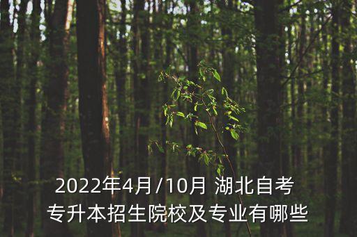 湖北理工學院專升本 土木工程