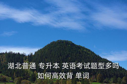 專升本英語(yǔ)常用單詞,英語(yǔ)專升本3800個(gè)單詞表