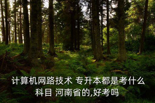  計(jì)算機(jī)網(wǎng)路技術(shù) 專升本都是考什么科目 河南省的,好考嗎