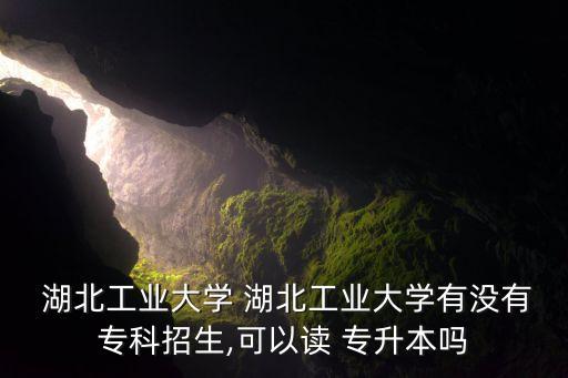  湖北工業(yè)大學(xué) 湖北工業(yè)大學(xué)有沒有?？普猩?可以讀 專升本嗎