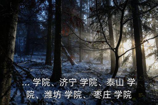 ... 學(xué)院、濟寧 學(xué)院、泰山 學(xué)院、濰坊 學(xué)院、 棗莊 學(xué)院