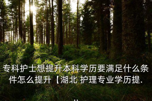 ?？谱o(hù)士想提升本科學(xué)歷要滿足什么條件怎么提升【湖北 護(hù)理專業(yè)學(xué)歷提...
