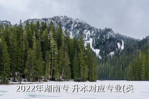 2022年湖南專 升本對(duì)應(yīng)專業(yè)(類