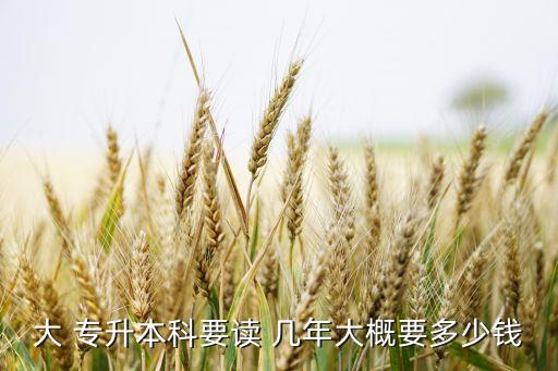 專升本學(xué)費交幾年