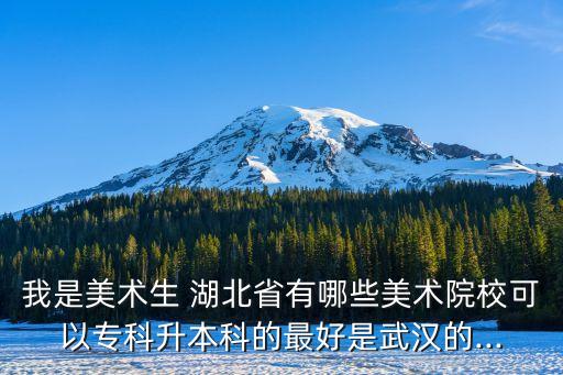 我是美術(shù)生 湖北省有哪些美術(shù)院校可以?？粕究频淖詈檬俏錆h的...