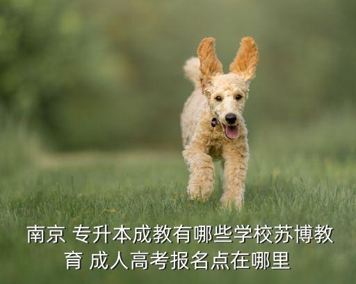  南京 專升本成教有哪些學(xué)校蘇博教育 成人高考報名點在哪里