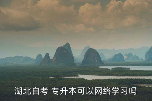 湖北自考 專(zhuān)升本可以網(wǎng)絡(luò)學(xué)習(xí)嗎