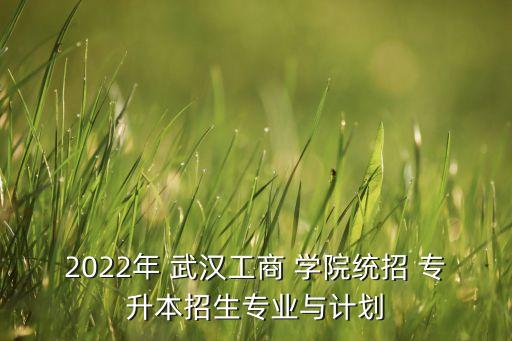 2022年 武漢工商 學(xué)院統(tǒng)招 專升本招生專業(yè)與計(jì)劃