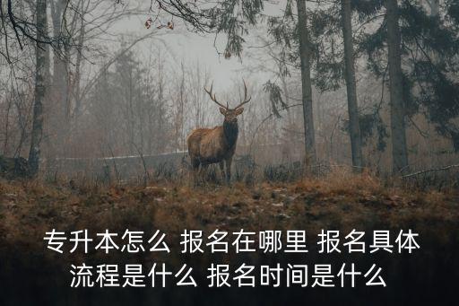  專(zhuān)升本怎么 報(bào)名在哪里 報(bào)名具體流程是什么 報(bào)名時(shí)間是什么