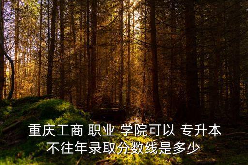  重慶工商 職業(yè) 學(xué)院可以 專升本不往年錄取分?jǐn)?shù)線是多少