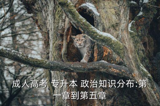 2015成考專升本政治試卷,2022年成考專升本政治試卷真題及答案解析
