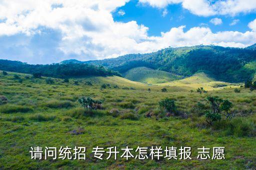 請問統(tǒng)招 專升本怎樣填報 志愿