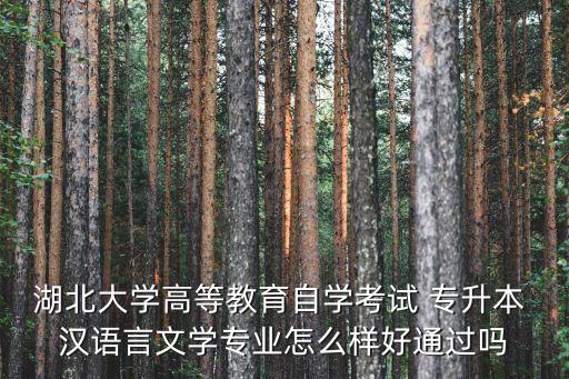 湖北大學(xué)高等教育自學(xué)考試 專升本 漢語(yǔ)言文學(xué)專業(yè)怎么樣好通過(guò)嗎