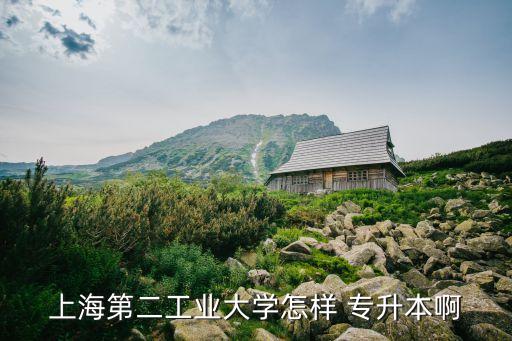 上海第二工業(yè)大學(xué)怎樣 專(zhuān)升本啊