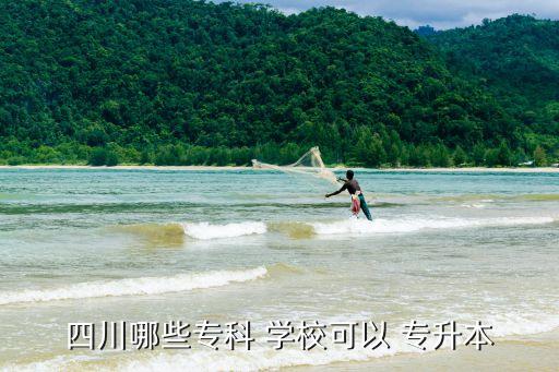 四川哪些?？?學(xué)?？梢?專升本