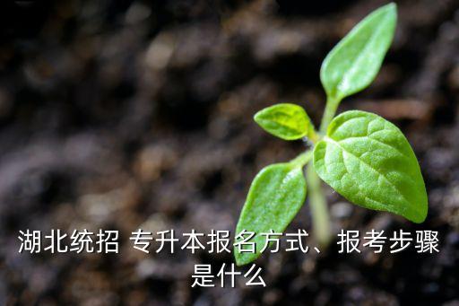 湖北統(tǒng)招 專(zhuān)升本報(bào)名方式、報(bào)考步驟是什么