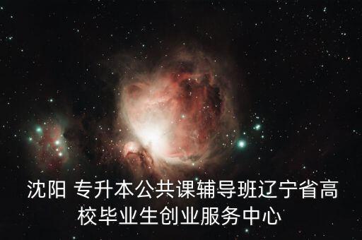 沈陽(yáng)樹(shù)人專升本2016
