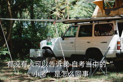 有沒有人可以告訴我 自考當(dāng)中的“ 小考”是怎么回事