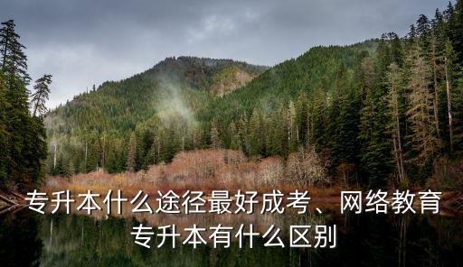  專升本什么途徑最好成考、網(wǎng)絡(luò)教育 專升本有什么區(qū)別