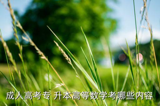 成人高考專 升本高等數(shù)學(xué)考哪些內(nèi)容