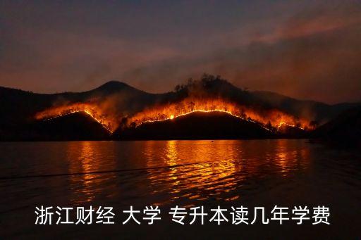浙江財經大學專升本錄取分數線