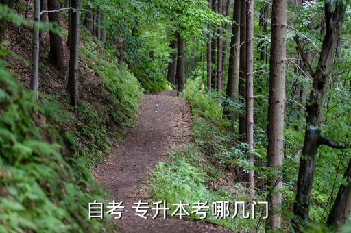  自考 專(zhuān)升本考哪幾門(mén)