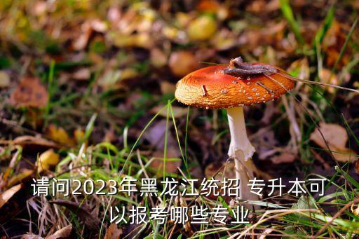 請問2023年黑龍江統(tǒng)招 專升本可以報考哪些專業(yè)