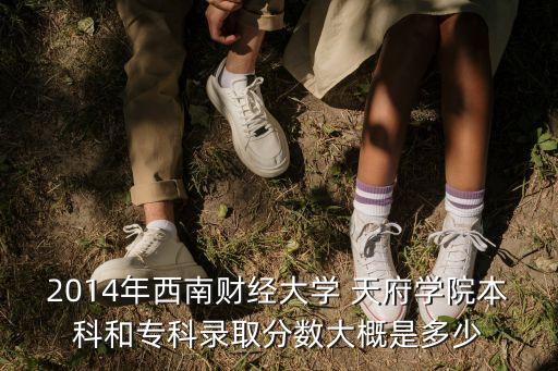2014年西南財經(jīng)大學 天府學院本科和?？其浫》謹?shù)大概是多少