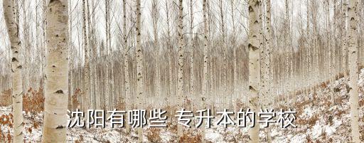 沈陽有哪些 專升本的學(xué)校