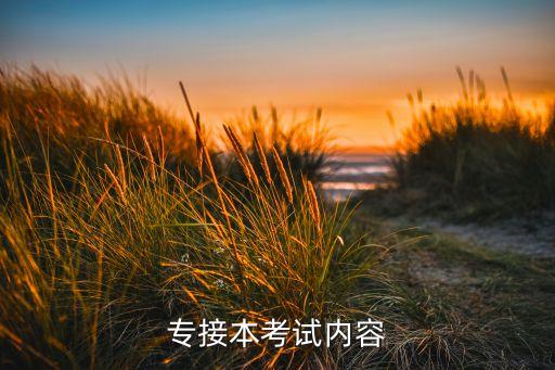 專(zhuān)接本考試內(nèi)容