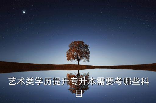 藝術(shù)類學(xué)歷提升專升本需要考哪些科目
