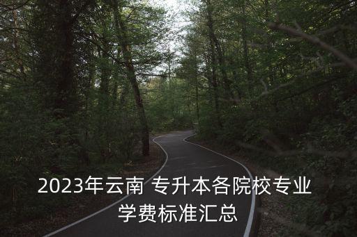2023年云南 專升本各院校專業(yè) 學(xué)費(fèi)標(biāo)準(zhǔn)匯總