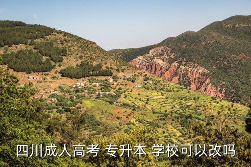 四川成人高考 專升本 學(xué)?？梢愿膯? class=