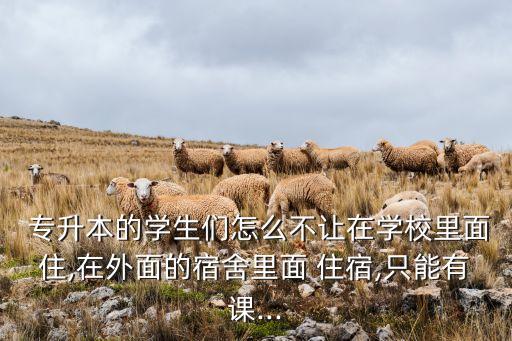  專升本的學(xué)生們?cè)趺床蛔屧趯W(xué)校里面住,在外面的宿舍里面 住宿,只能有課...
