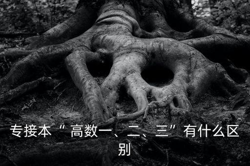 專接本“ 高數(shù)一、二、三”有什么區(qū)別