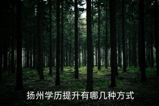  揚州學(xué)歷提升有哪幾種方式