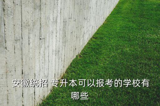 安徽外國語學院2017專升本