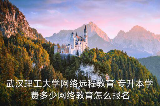武漢理工大學(xué)網(wǎng)絡(luò)遠(yuǎn)程教育 專升本學(xué)費(fèi)多少網(wǎng)絡(luò)教育怎么報(bào)名