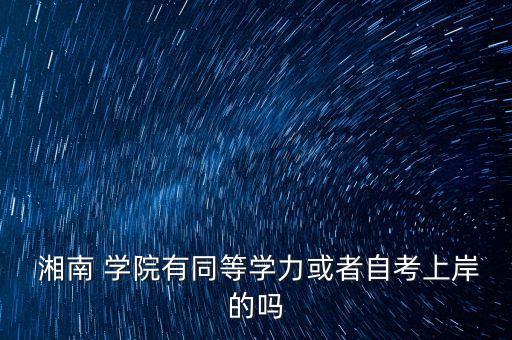  湘南 學院有同等學力或者自考上岸的嗎